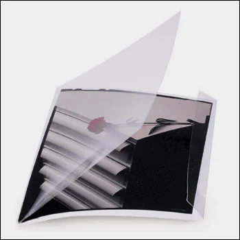 4x5 Sheet Scanning - Large Format Film