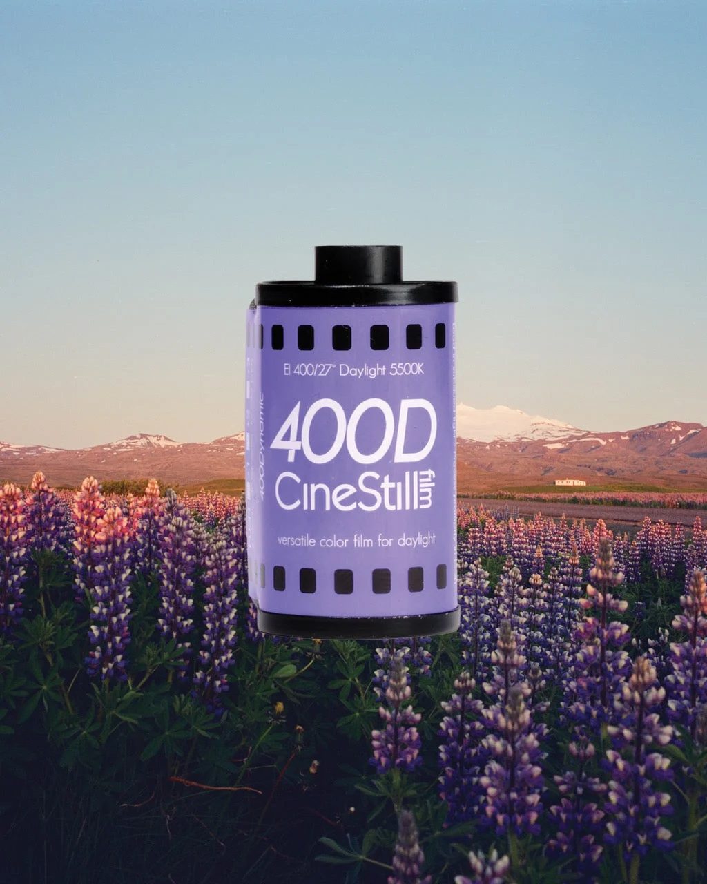 CineStill 400Dynamic (35mm film)