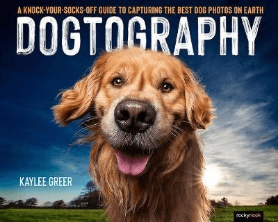 Dogtography by Kaylee Greer