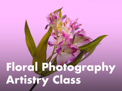 Floral Photography Artistry Class (Austin)