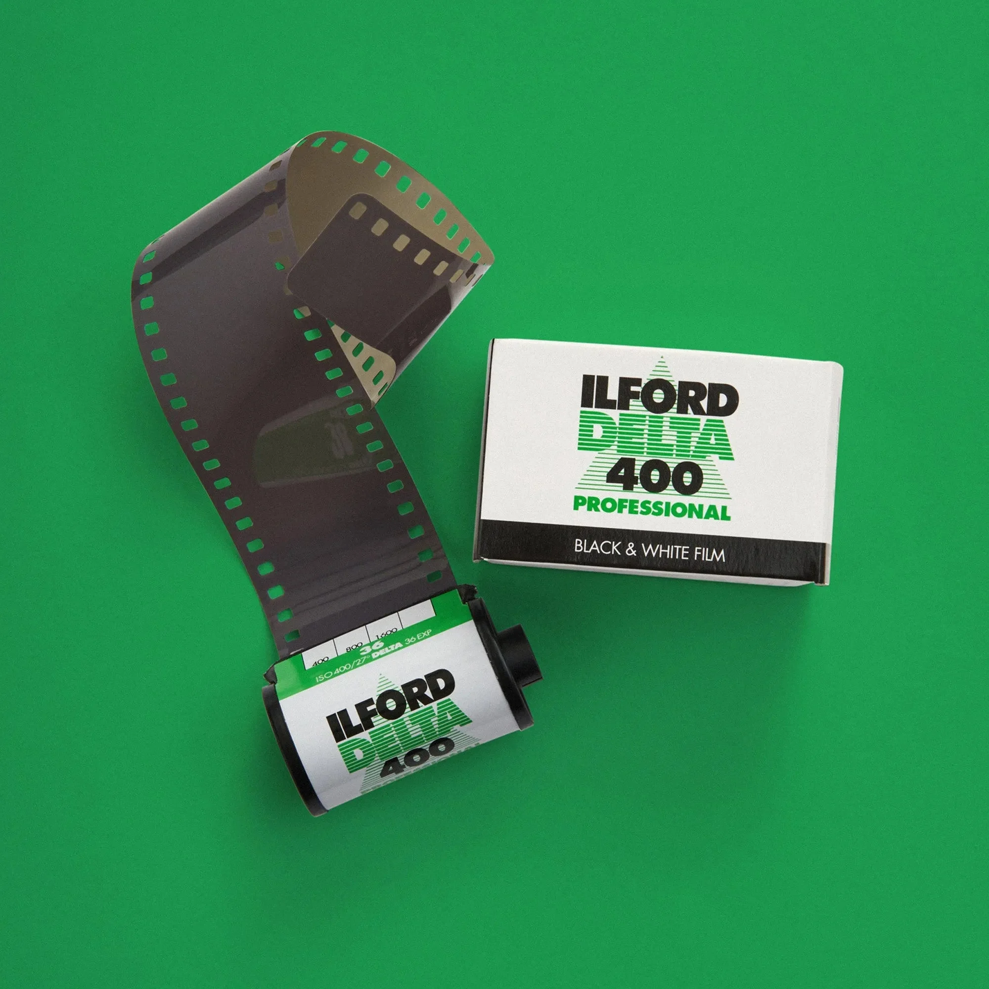 Ilford Delta 400 Professional Black and White Film