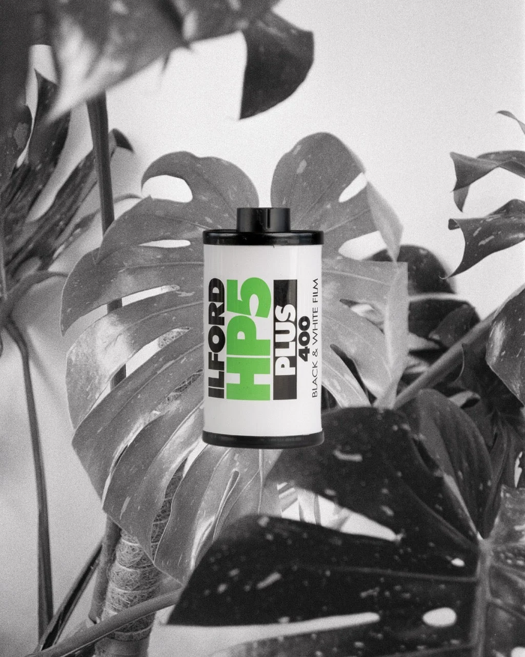 Ilford HP5 (35mm film) Black & White (24 Exp)