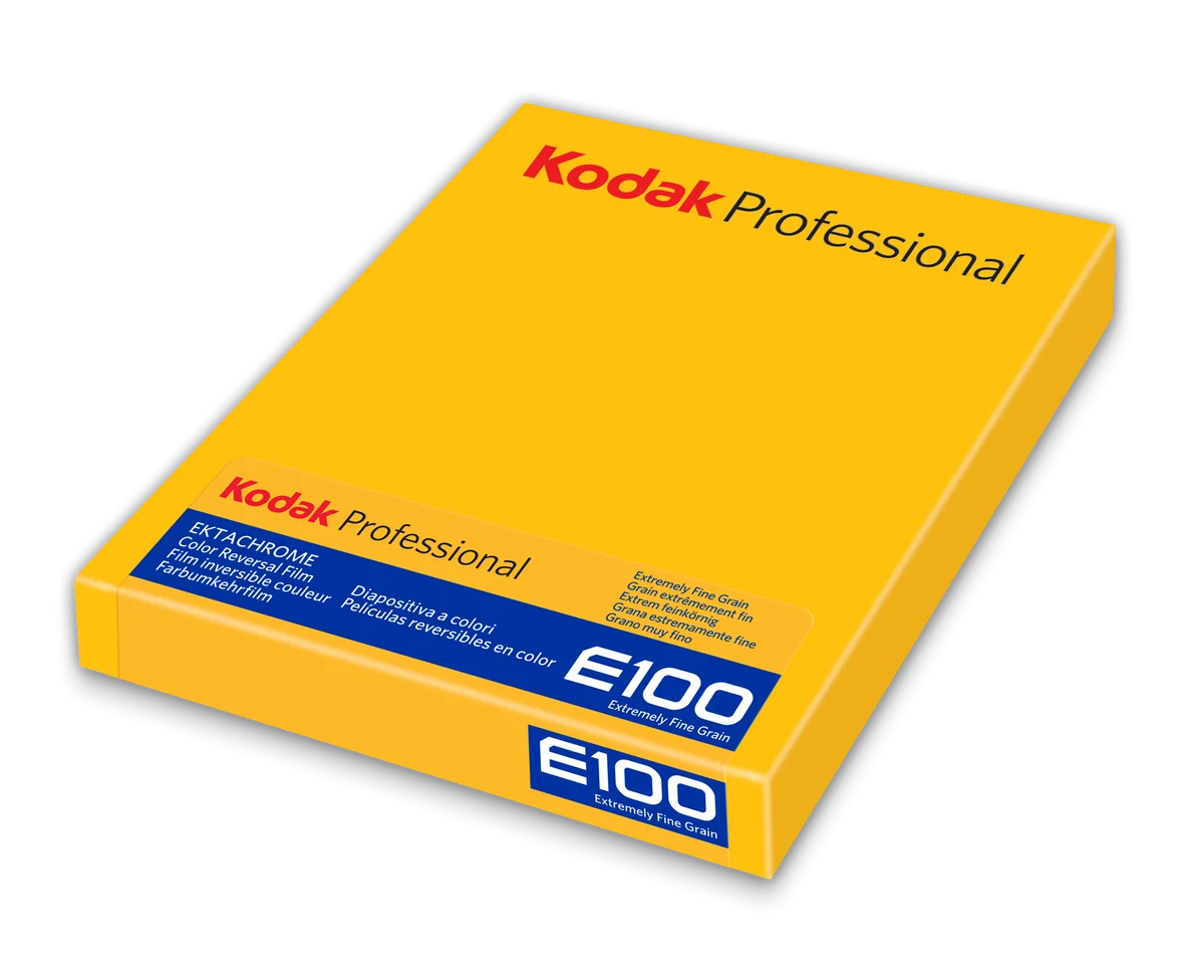 Kodak Professional Ektachrome E100 Color Transparency - 4x5" Film, 10 Sheets