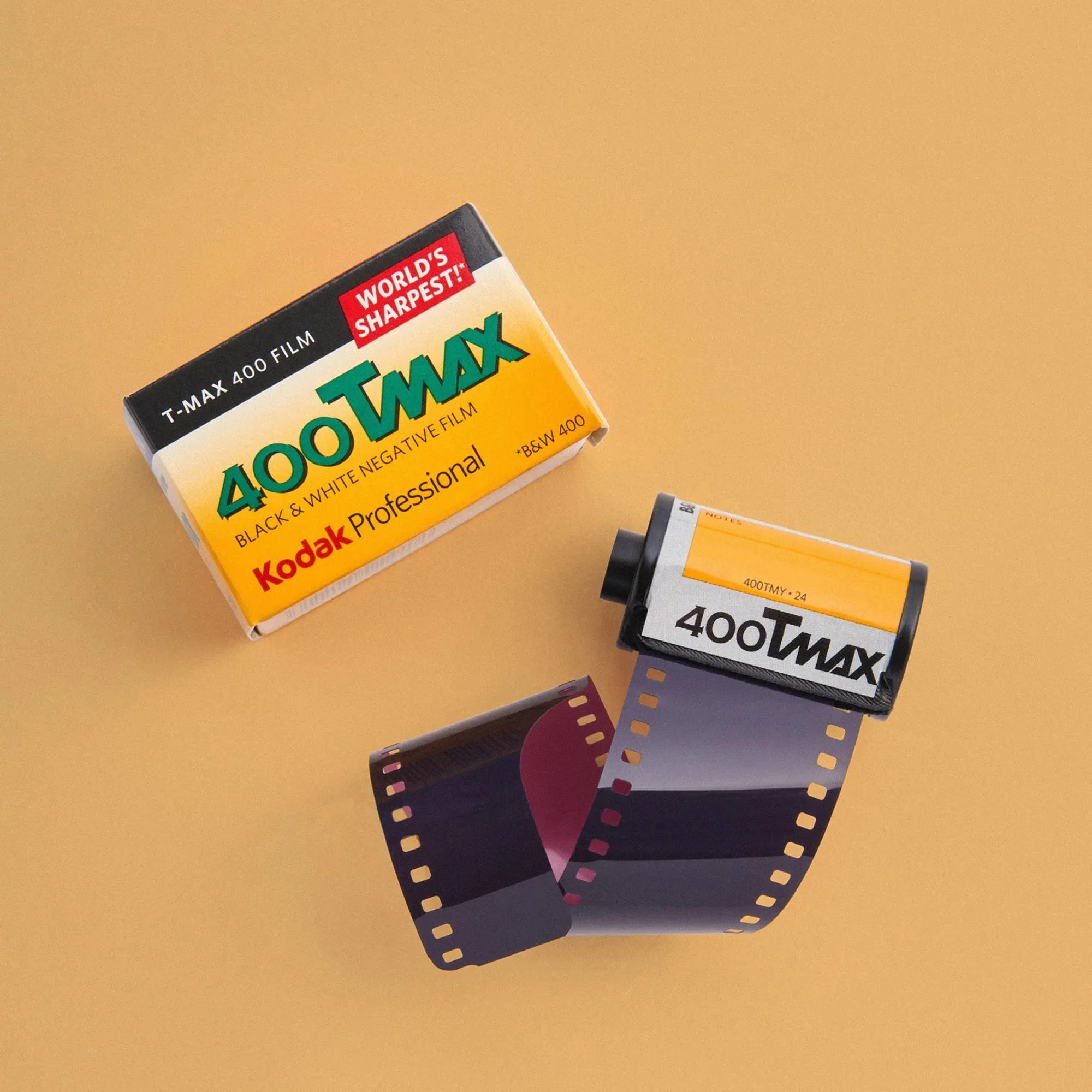 Kodak T-Max 400 Black and White Film