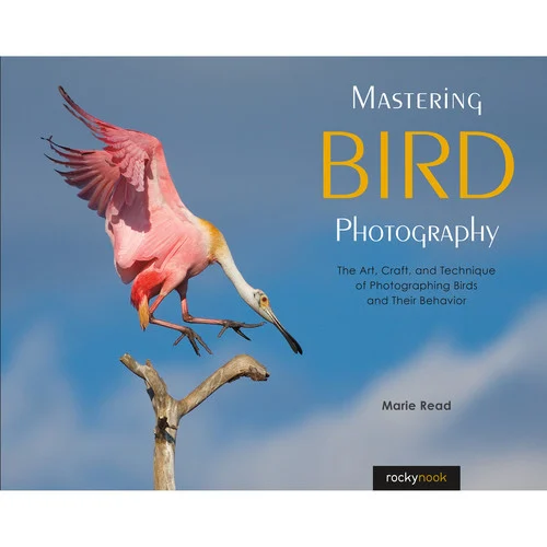 Mastering Bird Photography - Marie Read