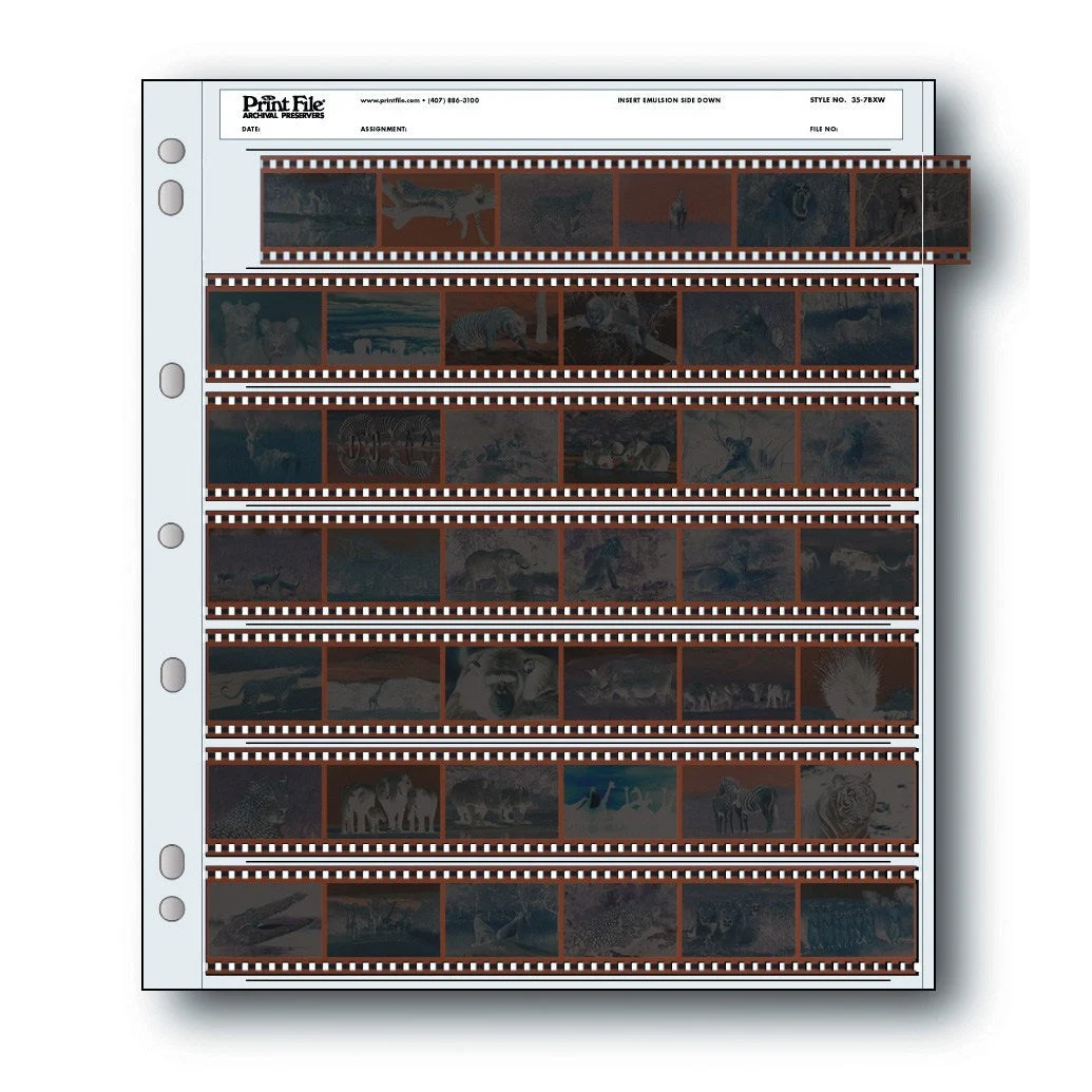Print File 35-7BXW Archival Storage Negative Pages - 25 Pack
