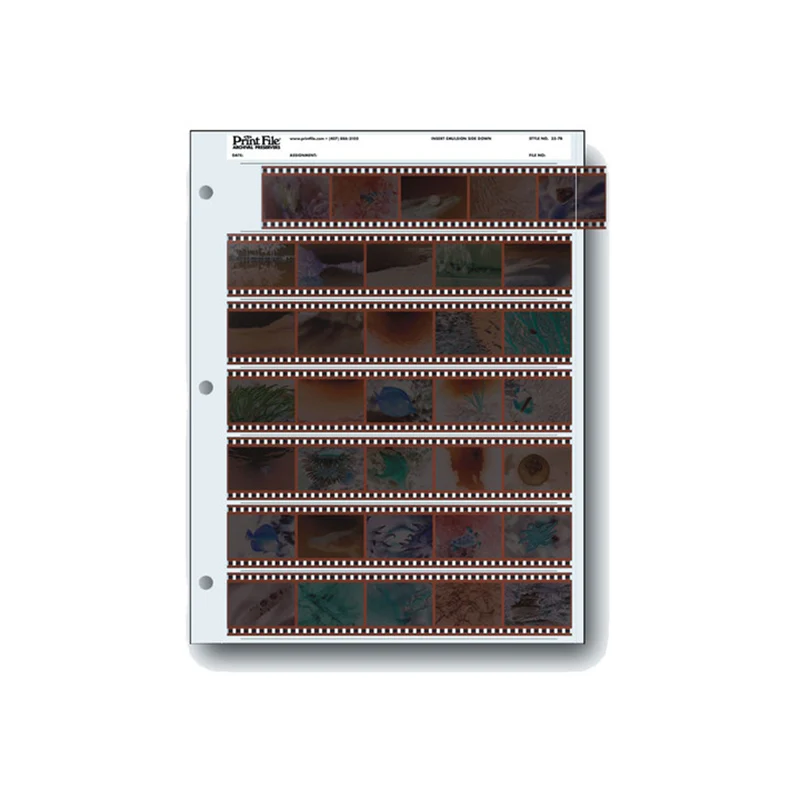 Print File 35mm Archival Storage Pages for Negatives (25 Pack)