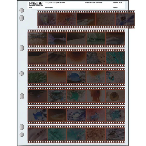 Print File Archival 35mm Negative Preservers - 35-7B 100 Sheets