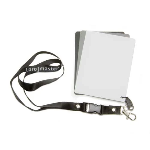 Promaster 3 in 1 Exposure Set 4x5