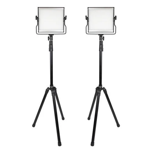 Promaster Basis B88B 2-Light Bi-Color LED Kit