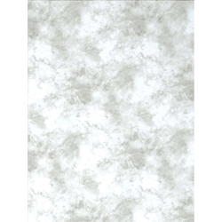 Promaster Cloud Dyed Backdrop 6 x 10 - Light Gray