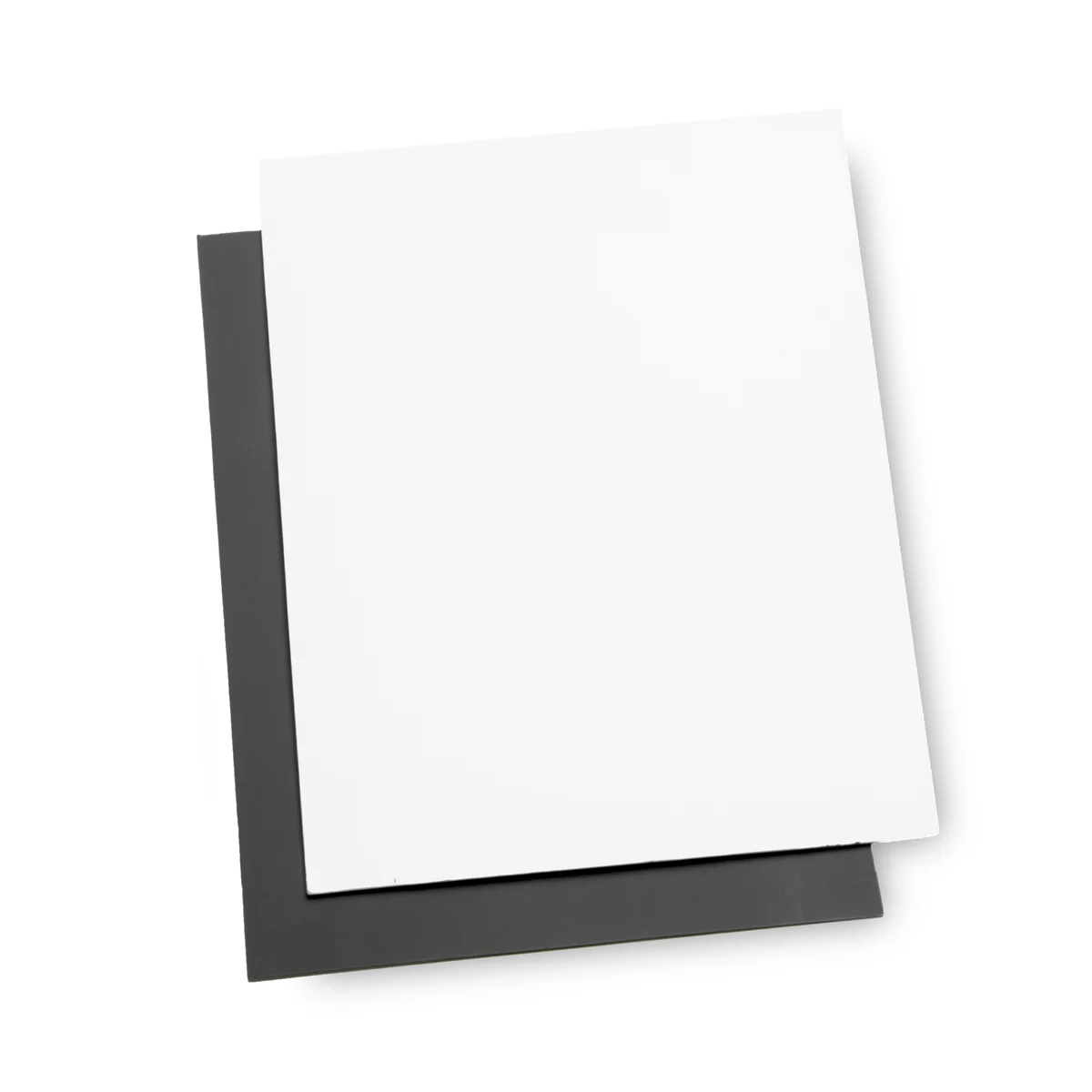 ProMaster Digital Exposure Card - 8x10" 2-Pack