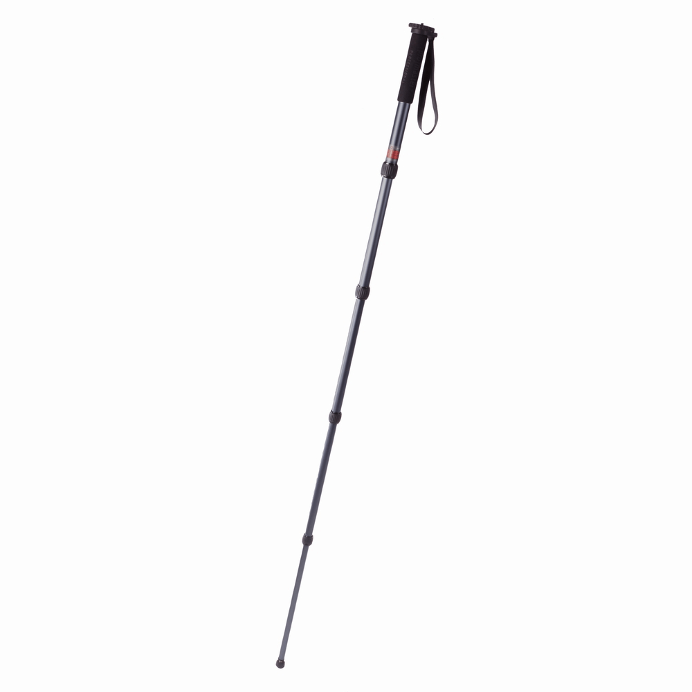 Promaster MP528 Professional Monopod