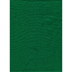 Promaster Solid Backdrop 6 x 10 - Chromakey Green