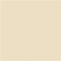 Rosco Cinegel 20x24" Filter - #3409 1/4 Amber RoscoSun CTO