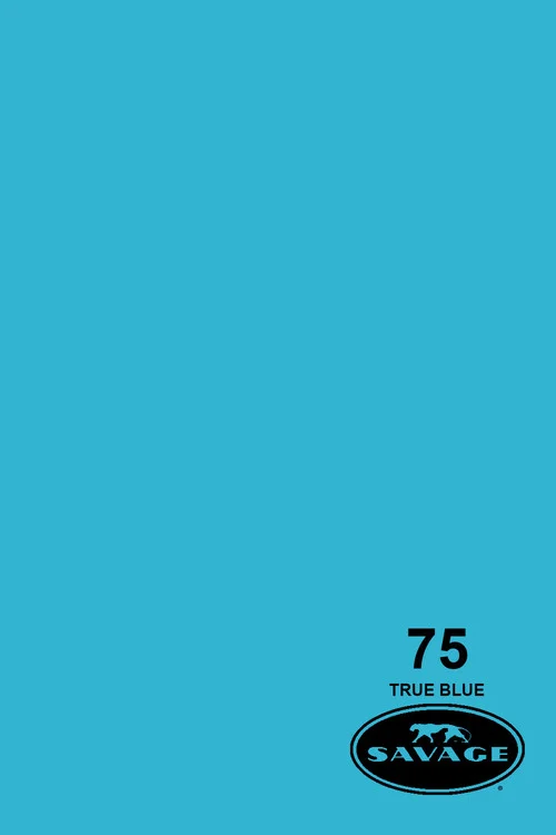 Savage Widetone Background Paper 53 Inch x 12 Yard Roll- #75 True Blue