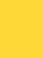 Savage Widetone Seamless Background Paper (Canary, 86” x 12yds)