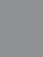 Savage Widetone Seamless Background Paper (Fashion Gray, 53" x 36)