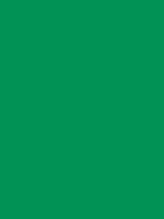Savage Widetone Seamless Background Paper (Holly, 53" x 36)