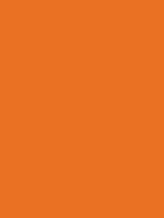 Savage Widetone Seamless Background Paper (Orange 107”X12yds)
