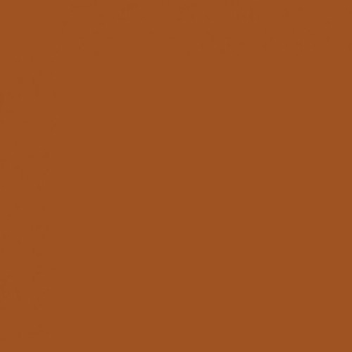 Savage Widetone Seamless Background Paper (Sienna 53" x 36)