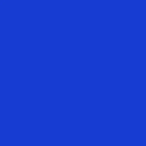 Westcott Wrinkle-Resistant BG - 9 x 10', Blue Screen